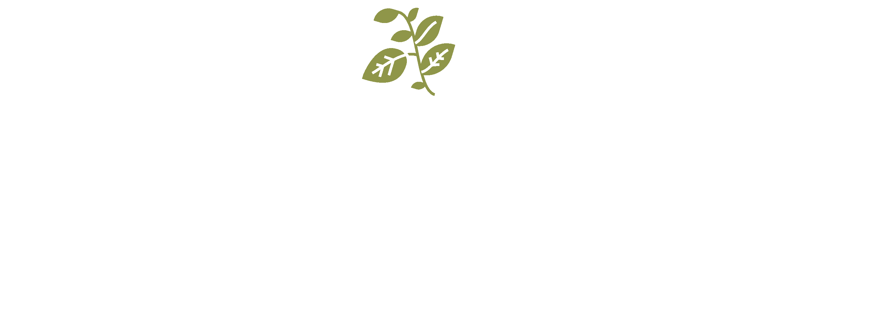 illustrated leaf